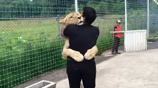 Lion Sees Her Adoptive Dad After 7 Years...