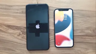 iPhone 11 Pro Max vs iPhone 12 Mini / iOS 15