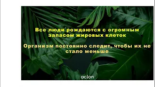 «Компания Аклон предлагает  самую эффективную систему коррекции тела» Наталья Шабанова