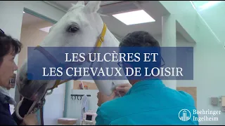 [Minute Santé Boehringer Ingelheim] Les ulcères et les chevaux de loisirs