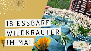 18 essbare Wildkräuter, die du im Mai sammeln kannst