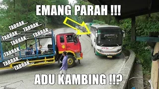 EMANG GAWAT SITINJAU LAUIK HARI INI !!!