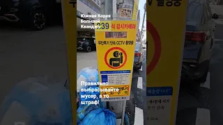 Как выбрасывать мусор в Корее #южнаякорея #koreanvlog #утильсбор #жизньвкорее
