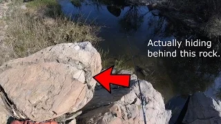 Fishing The San Diego River - They on BEDS!