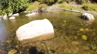 Natural River on Vancouver Island 🇨🇦🌊