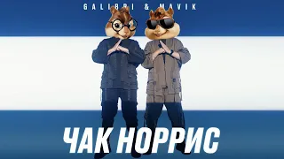 Элвин и Бурундуки - Чак Норрис// Alvin the Chipmunks Song // Galibri & Mavik - Чак Норрис