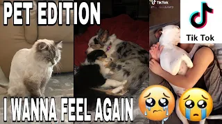 I WANNA FEEL AGAIN TIKTOK COMPILATION | PET EDITION | TRY NOT TO CRY 😭😭😭