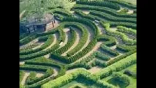 Lost in a Real Labyrinth Style Hedge Maze - Morton Arboretum -  Lilse Illinois