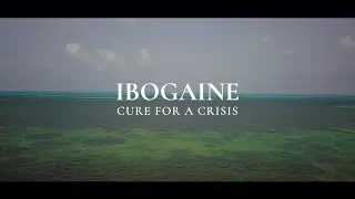 Ibogaine: Cure For A Crisis