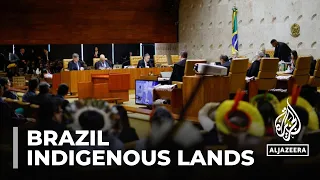 Brazil indigenous rights: Calls for protests to protect ancestral lands