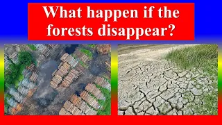 What happens if the Forests Disappear?