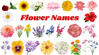 Flowers Name | Learn Flowers Name in English | Flowers name with pictures #flowers