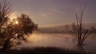 The Voice of the Danube