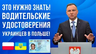 Информация для каждого украинца в Польше! ВСЕ что нужно знать о замене украинских водительских прав