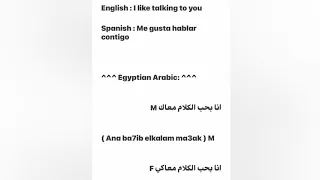 Learn important Egyptian Arabic sentences / aprender oraciones importantes en árabe egipcio
