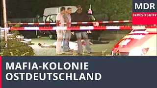 Mafia-Kolonie Ostdeutschland | Doku