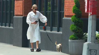 Mulholland Drive star Naomi Watts takes her dog for a walk in NYC | David Lynch 5.22.23 NYC Celebs
