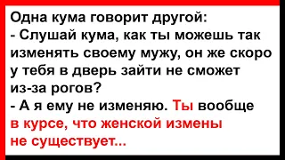 Кума, ты в курсе, что женской измены не существует?... Анекдоты! Юмор! Позитив!