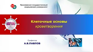 Биология тканей - лекция №7. Клеточные основы кроветворения