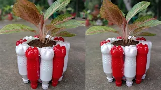 Spesial Kemerdekaan Indonesia || Pot Bunga Botol Bekas Merah Putih