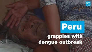 ‘We have been forgotten’: People in northern Peru grapple with dengue outbreak • FRANCE 24