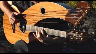 Always On My Mind - (Elvis/Willie Nelson) - Harp Guitar Cover