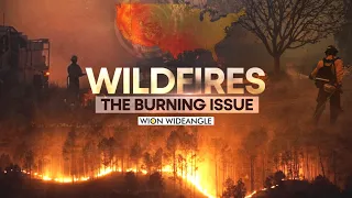 Texas Wildfires Rage | WION Wideangle