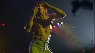 Iggy Pop Kiss My Blood 1991 Live In Paris 2004 DivX DVDRip