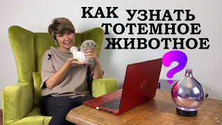 Как узнать свое тотемное животное?