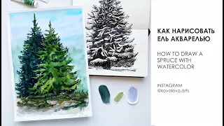 Как нарисовать ель акварелью // how to draw spruce with watercolor