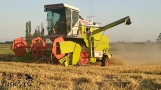 🤩Żniwa 2021!🔥 Claas Dominator 48s/ pszenica | GR Fedoryshyn🇺🇦