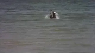 Lake Monster is Real!