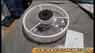 Ceiling Fans with Lights App & Remote Control