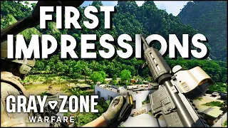 Gray Zone Warfare Has A Long Way To Go... First Impressions & Honest Thoughts On Gray Zone Warfare!