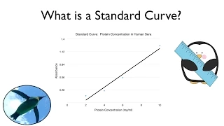 What is a Standard Curve?