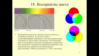 8:00 13 апр. 2022 г. Оптические явления в биологии и медицине