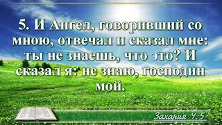 ВидеоБиблия Книга пророка Захарии глава 4 Бондаренко