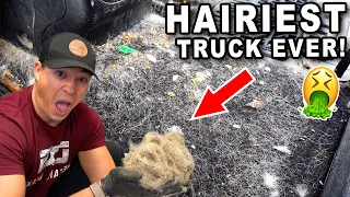 Deep Cleaning an INSANELY Hairy Truck! | The Detail Geek