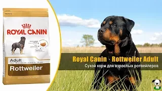 Корм для взрослых собак породы ротвейлер · Royal Canin Rottweiler Adult