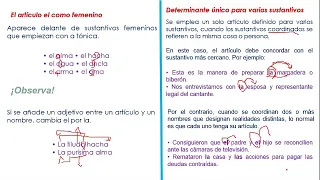 17. Normativa de los determinantes.  4°.  Lenguaje