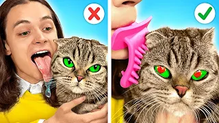 ¡ARTÍCULOS DE TikTok para tu GATO! Consejos para esconder a un GATO EN CASA por La La Vida