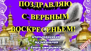 С Вербным Воскресеньем поздравляю на праздник ВЕРБНОЕ ВОСКРЕСЕНЬЕ