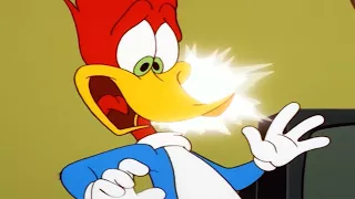 Woody Woodpecker Show | Downsized Woody | Full Episode | Cartoons For Children