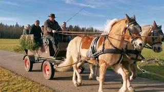 Новый год/Чёрный лес/Германия