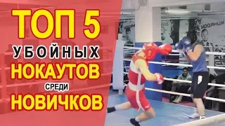 ТОП 5 Убойных НОКАУТОВ среди новичков