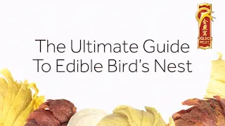 The Ultimate Guide to Edible Bird's Nest