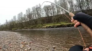 North Esk Spring Salmon 2024 Balmakewan