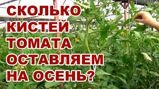 Сколько кистей помидора мы оставляем на осень? (17-09-2018)