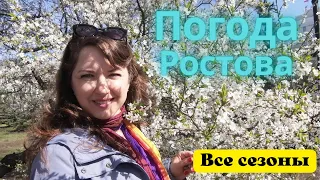 Какая погода в Ростове в разные времена года. Особенности климата.