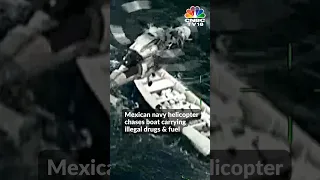 Mexico News | High-Speed Boat Chase Thwarts Drug Smuggling Attempt In Mexico | CNBC TV18